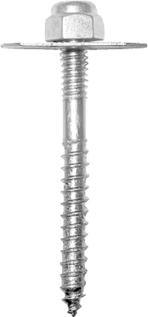 PIJAS PARA W.C., RUGO